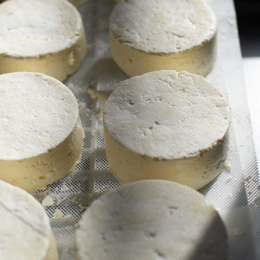 Fromage fais du Pays Basque